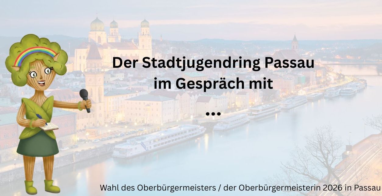 Du betrachtest gerade Kandidatinnen und Kandidaten im SJR-Gespräch